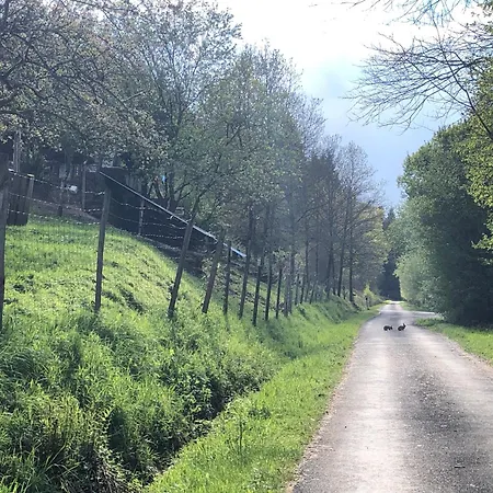 Habitación en casa particular A L'orée De Soi - Maison Forestière De La Soie - Eco Gîte, D'hôtes, Au Pied Des Vosges