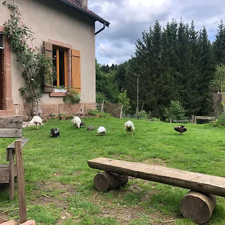 Проживание в семье A L'oree De Soi - Maison Forestiere De La Soie - Eco Gite, D'hotes, Au Pied Des Vosges *