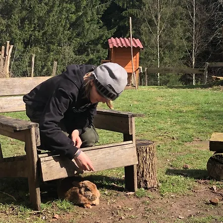 A L'oree De Soi - Maison Forestiere De La Soie - Eco Gite, D'hotes, Au Pied Des Vosges Проживание в семье Saint-Sauveur (Meurthe-et-Moselle)