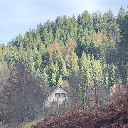 A L'orée De Soi - Maison Forestière De La Soie - Eco Gîte, D'hôtes, Au Pied Des Vosges * Saint-Sauveur (Meurthe-et-Moselle)