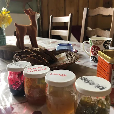 Проживание в семье A L'oree De Soi - Maison Forestiere De La Soie - Eco Gite, D'hotes, Au Pied Des Vosges *