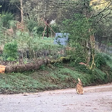 民宿 A L'oree De Soi - Maison Forestiere De La Soie - Eco Gite, D'hotes, Au Pied Des Vosges Saint-Sauveur (Meurthe-et-Moselle)