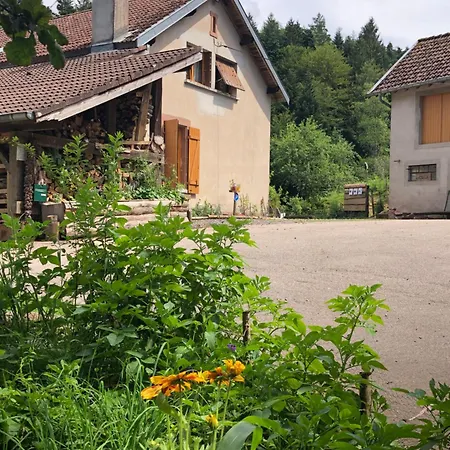 A L'oree De Soi - Maison Forestiere De La Soie - Eco Gite, D'hotes, Au Pied Des Vosges Проживание в семье