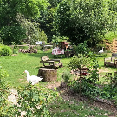 Homestay A L'oree De Soi: Eco-friendly Forest Retreat In The Vosges Saint-Sauveur (Meurthe-et-Moselle)