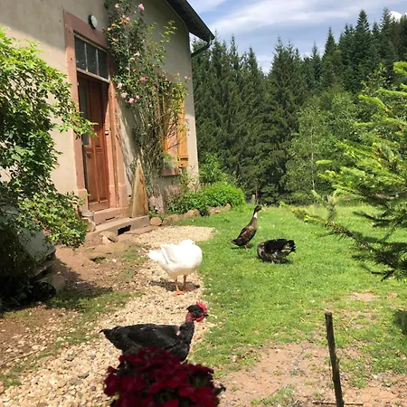 A L'oree De Soi - Maison Forestiere De La Soie - Eco Gite, D'hotes, Au Pied Des Vosges * Saint-Sauveur (Meurthe-et-Moselle)