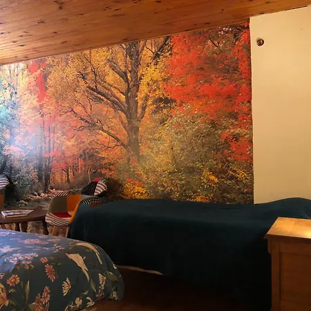 A L'oree De Soi - Maison Forestiere De La Soie - Eco Gite, D'hotes, Au Pied Des Vosges *