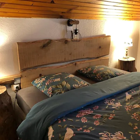 A L'oree De Soi - Maison Forestiere De La Soie - Eco Gite, D'hotes, Au Pied Des Vosges * Saint-Sauveur (Meurthe-et-Moselle)