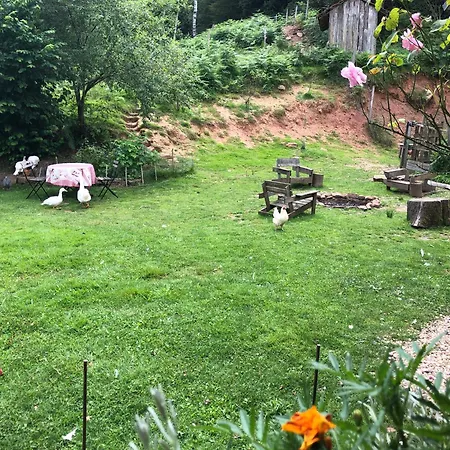 A L'oree De Soi - Maison Forestiere De La Soie - Eco Gite, D'hotes, Au Pied Des Vosges Проживание в семье