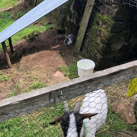 Séjour chez l'habitant A L'orée De Soi - Maison Forestière De La Soie - Eco Gîte, D'hôtes, Au Pied Des Vosges Saint-Sauveur (Meurthe-et-Moselle)
