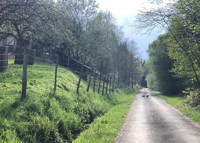 民宿 A L'oree De Soi - Maison Forestiere De La Soie - Eco Gite, D'hotes, Au Pied Des Vosges