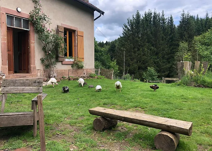 民宿 A L'oree De Soi - Maison Forestiere De La Soie - Eco Gite, D'hotes, Au Pied Des Vosges *
