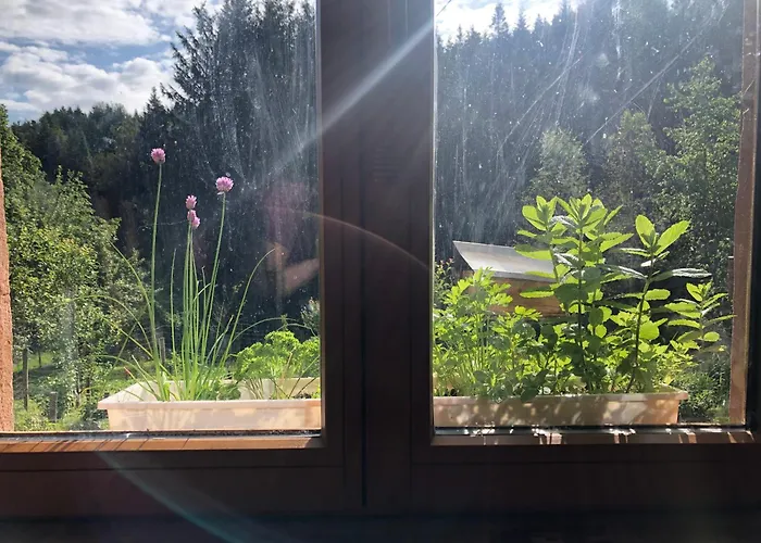 民宿 A L'oree De Soi - Maison Forestiere De La Soie - Eco Gite, D'hotes, Au Pied Des Vosges Saint-Sauveur (Meurthe-et-Moselle)