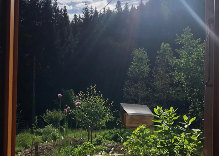 A L'oree De Soi - Maison Forestiere De La Soie - Eco Gite, D'hotes, Au Pied Des Vosges 民宿