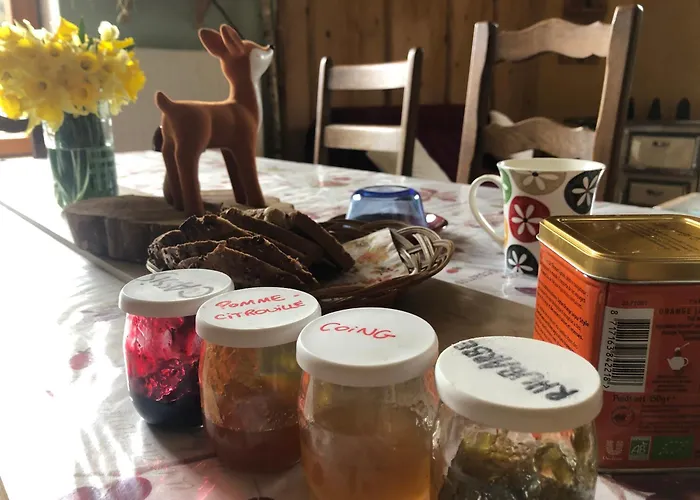 民宿 A L'oree De Soi - Maison Forestiere De La Soie - Eco Gite, D'hotes, Au Pied Des Vosges *