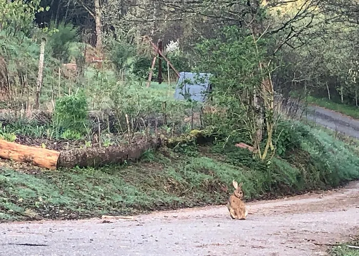 民宿 A L'oree De Soi - Maison Forestiere De La Soie - Eco Gite, D'hotes, Au Pied Des Vosges Saint-Sauveur (Meurthe-et-Moselle)