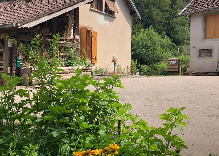 A L'oree De Soi - Maison Forestiere De La Soie - Eco Gite, D'hotes, Au Pied Des Vosges 民宿
