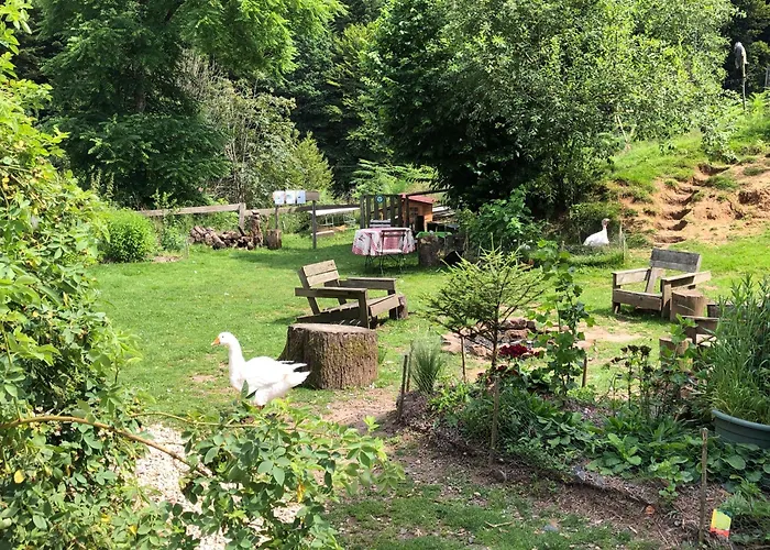民宿 A L'oree De Soi - Maison Forestiere De La Soie - Eco Gite, D'hotes, Au Pied Des Vosges Saint-Sauveur (Meurthe-et-Moselle)