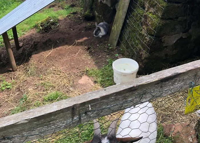 民宿 A L'oree De Soi - Maison Forestiere De La Soie - Eco Gite, D'hotes, Au Pied Des Vosges Saint-Sauveur (Meurthe-et-Moselle)